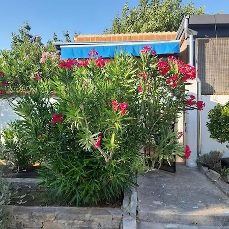 Holiday House Fanny Casa de Férias *